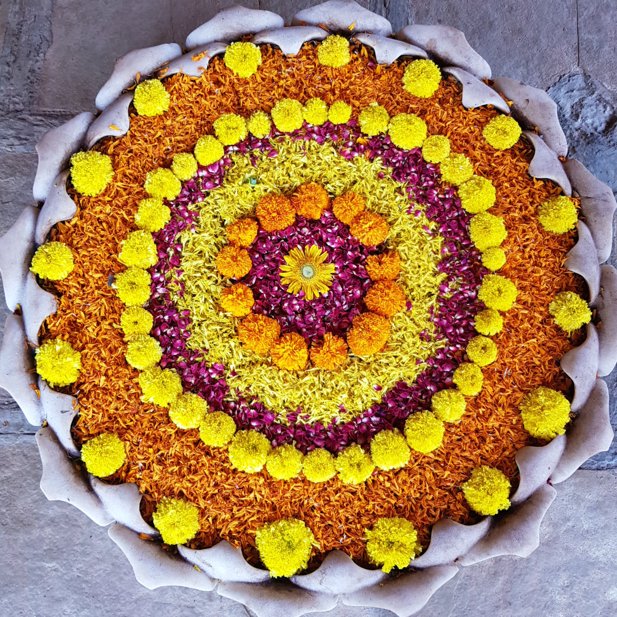 310989354_1517449815438564_5295170245320945446_n